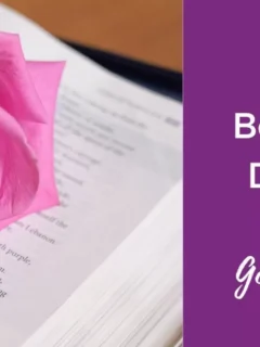 Benefits of dwelling in God's presence - A pink rose on top of the open bible.